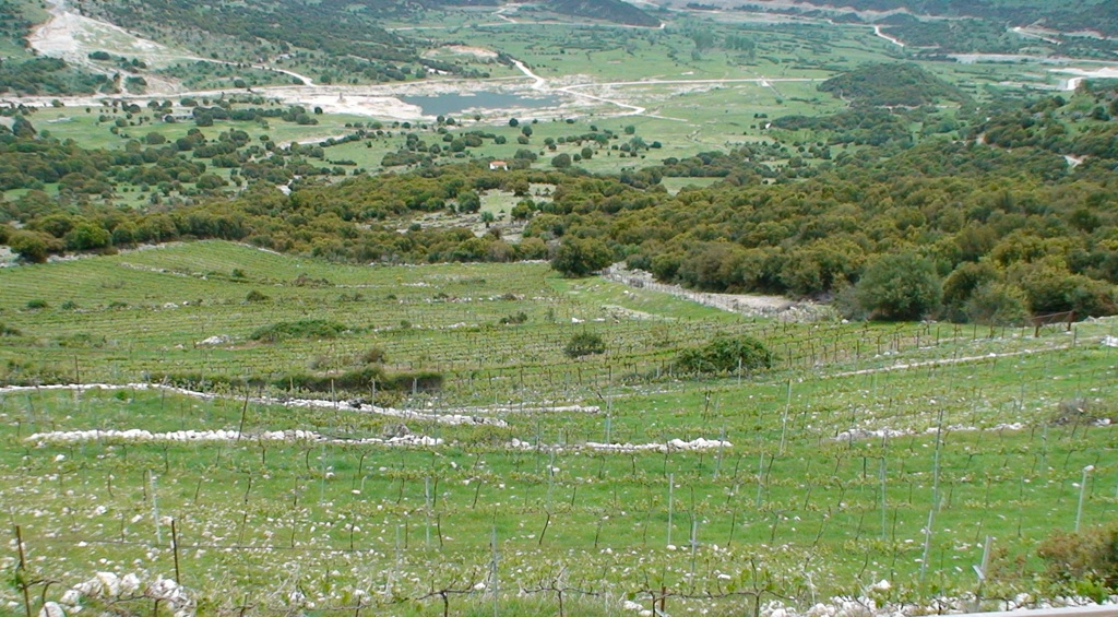 View towards Achyron dam